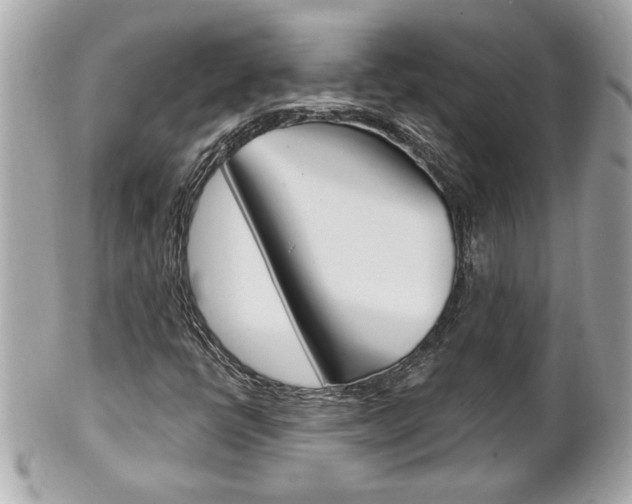 X0000102021398200807180932