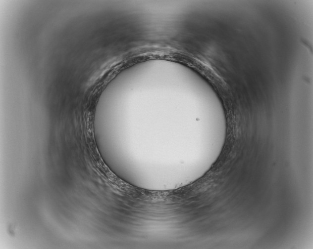 X0000102021399200807180932