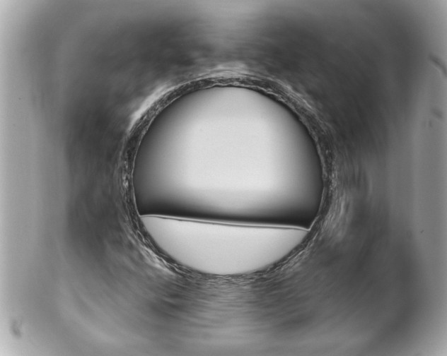 X0000102021400200807180932