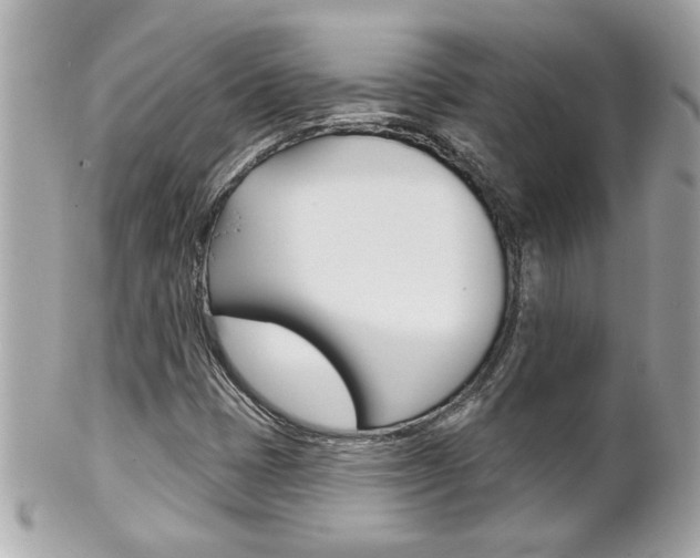 X0000102021401200807180932