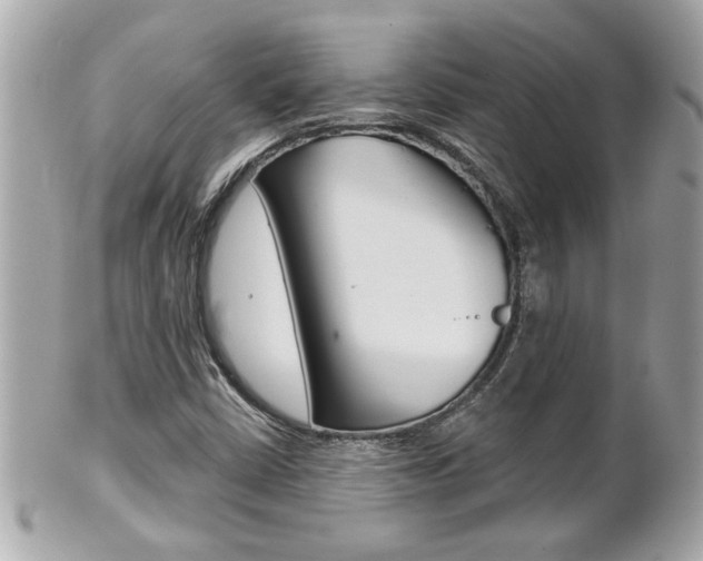 X0000102021402200807180932