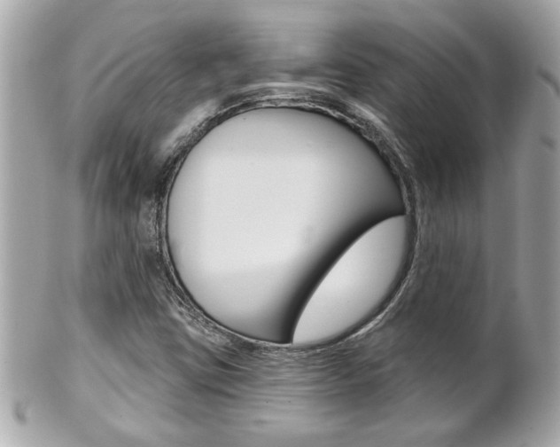 X0000102021403200807180932