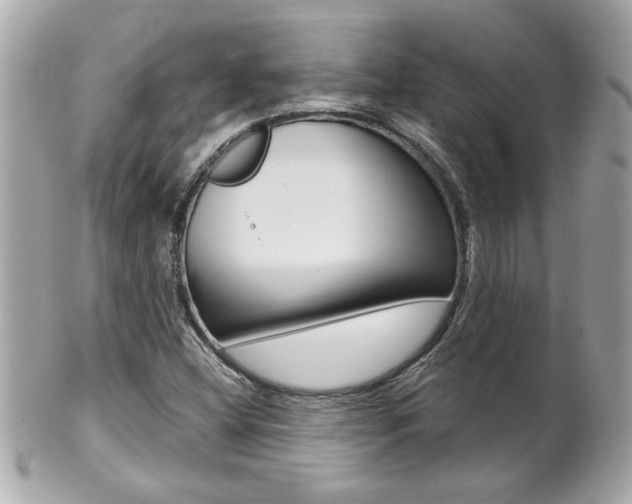 X0000102021404200807180932