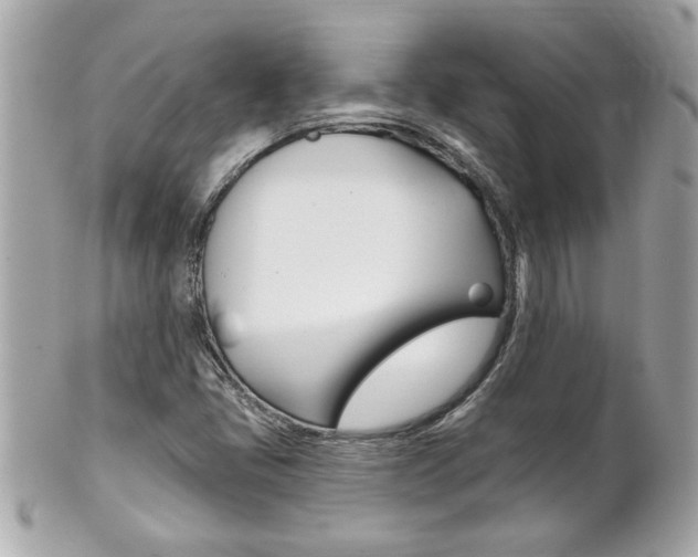 X0000102021405200807180932