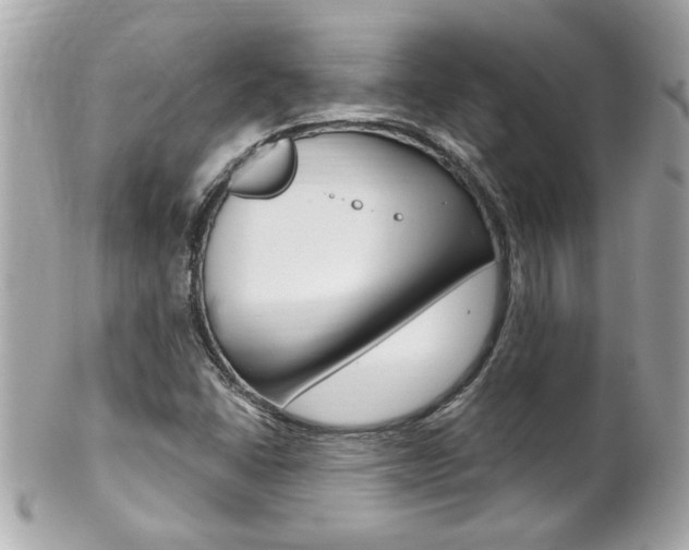 X0000102021406200807180932