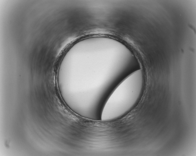 X0000102021408200807180932