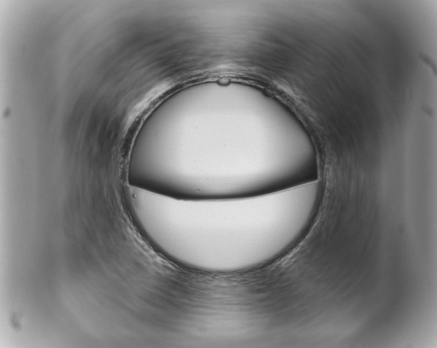 X0000102021410200807180932