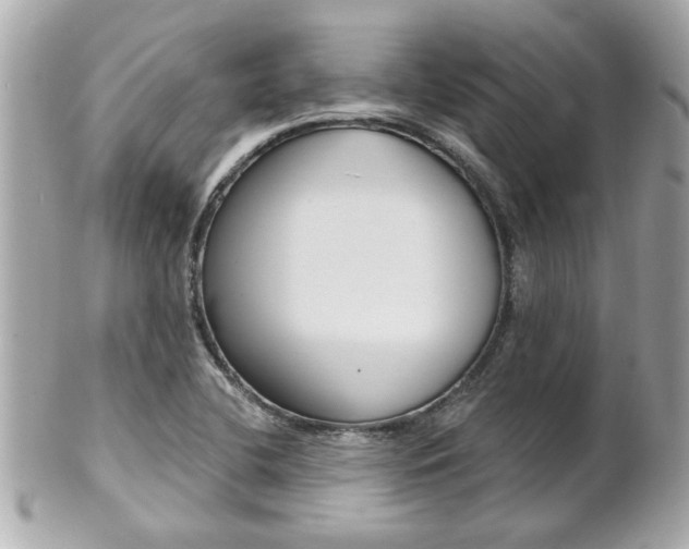 X0000102021412200807180932