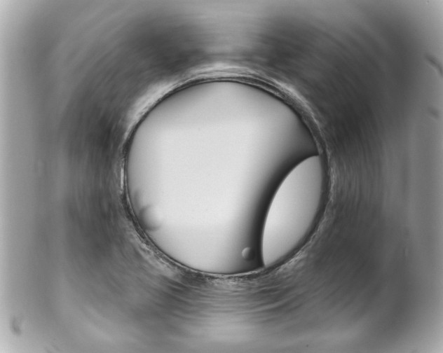 X0000102021413200807180932
