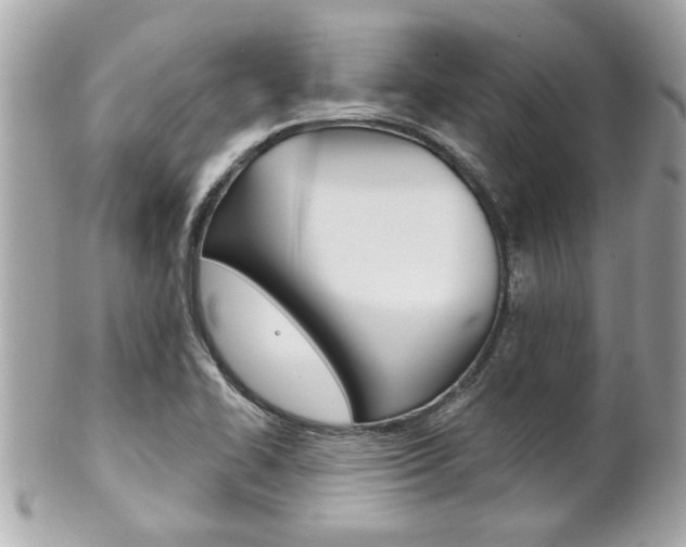 X0000102021414200807180932