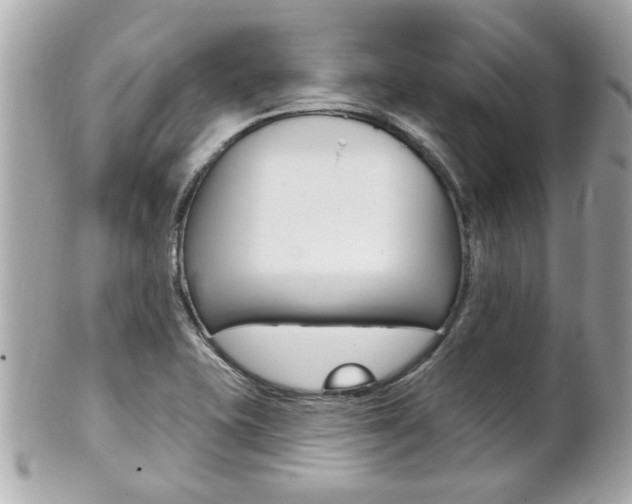 X0000102021415200807180932