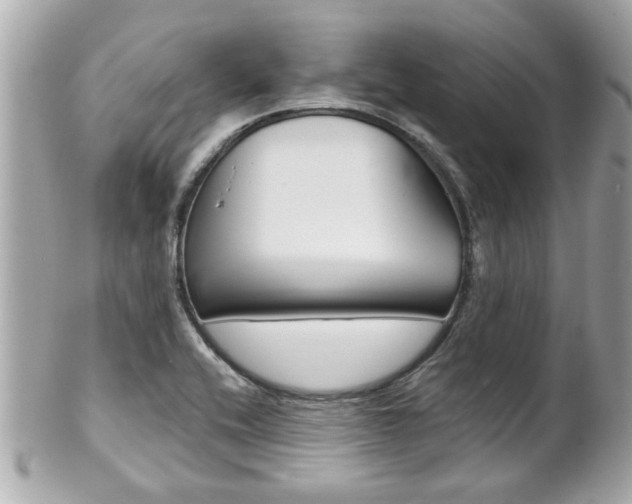 X0000102021416200807180932