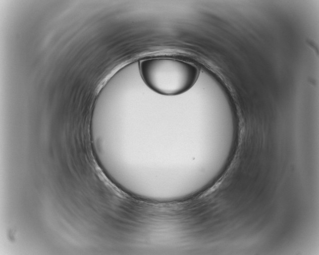 X0000102021417200807180932