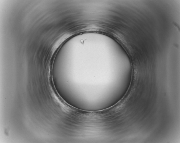 X0000102021418200807180932