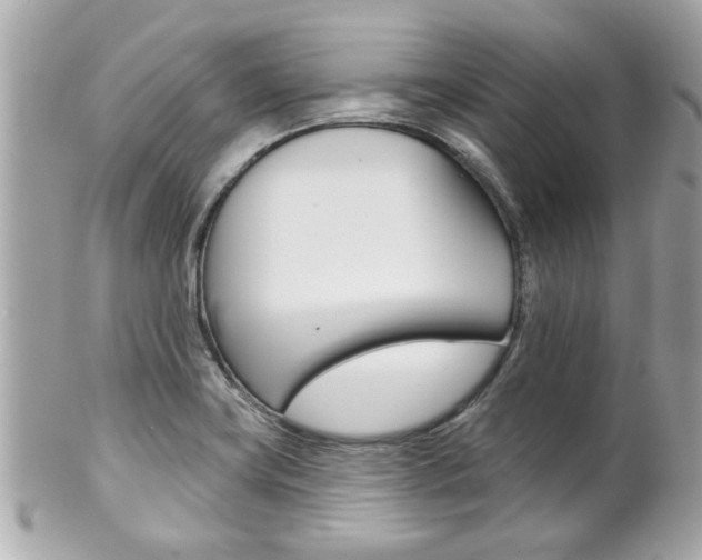 X0000102021419200807180932
