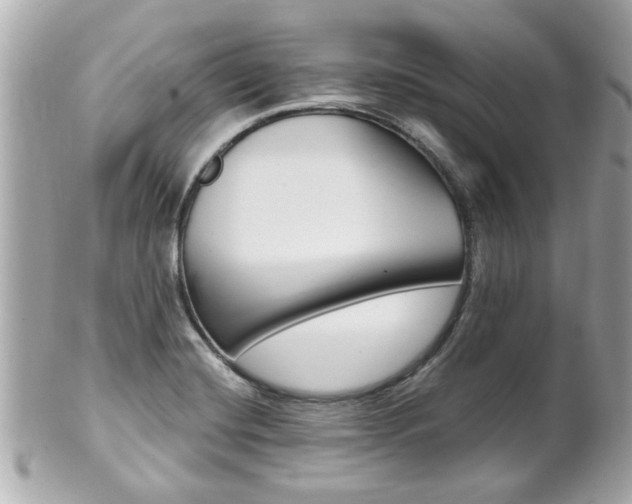 X0000102021420200807180932