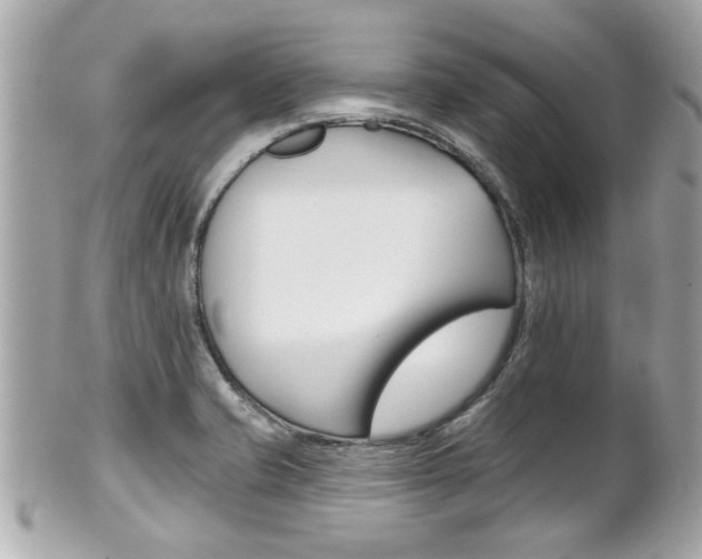 X0000102021421200807180932
