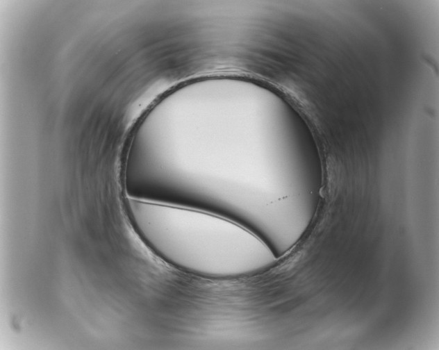 X0000102021422200807180932