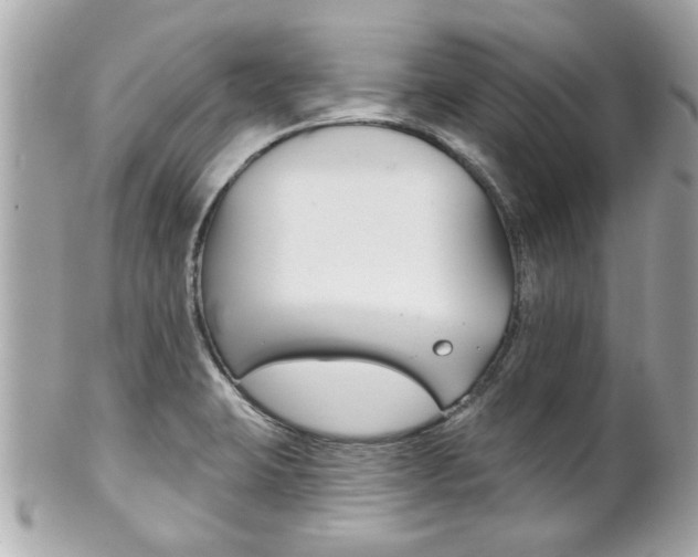 X0000102021423200807180932