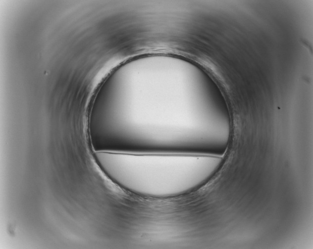 X0000102021424200807180932