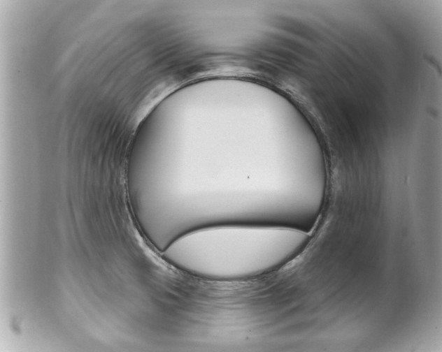 X0000102021425200807180932