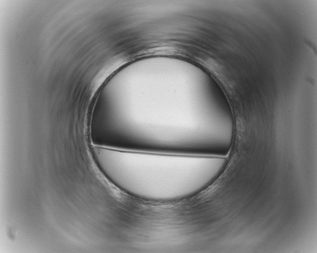 X0000102021426200807180932
