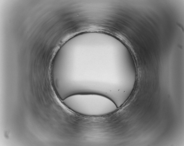 X0000102021429200807180932
