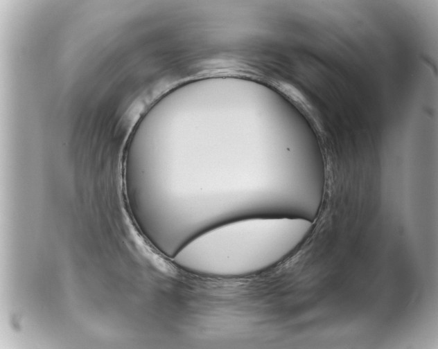 X0000102021431200807180932