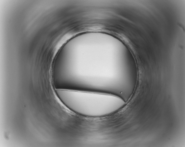 X0000102021432200807180932