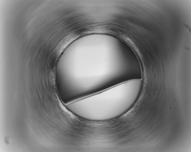 X0000102021433200807180932