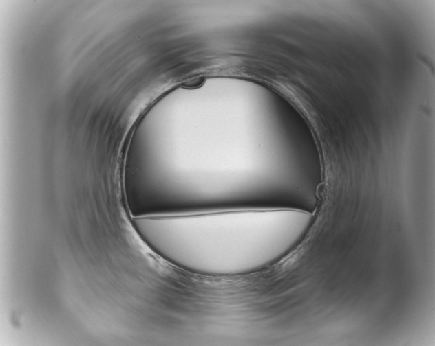 X0000102021434200807180932