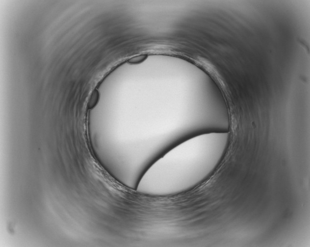 X0000102021435200807180932