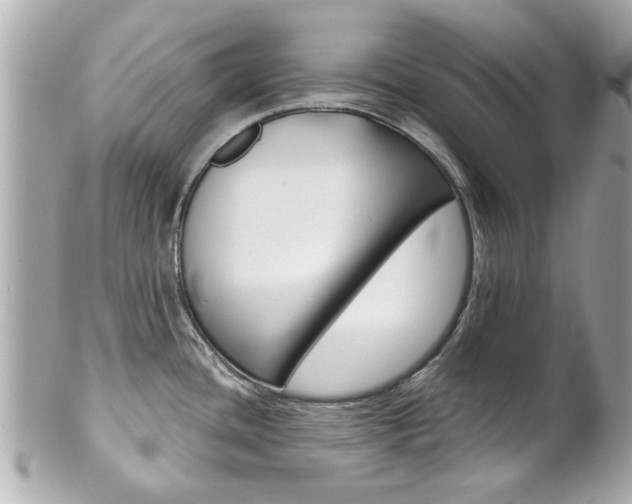 X0000102021436200807180933