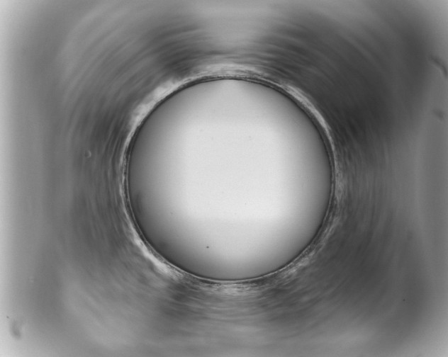 X0000102021437200807180933