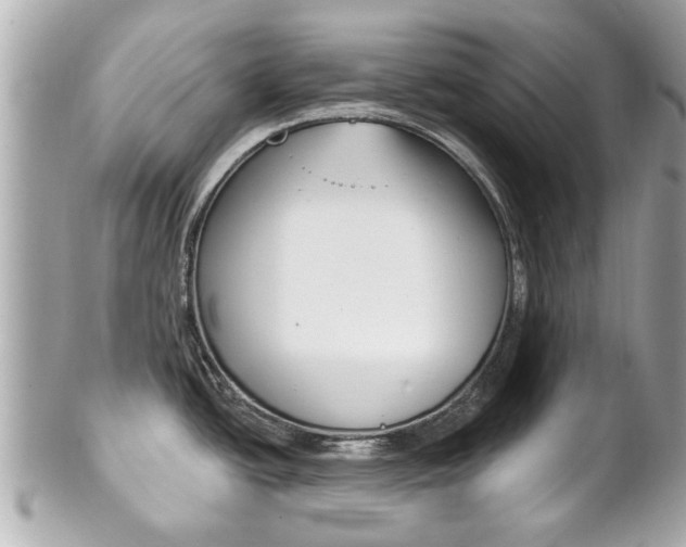 X0000102021438200807180933