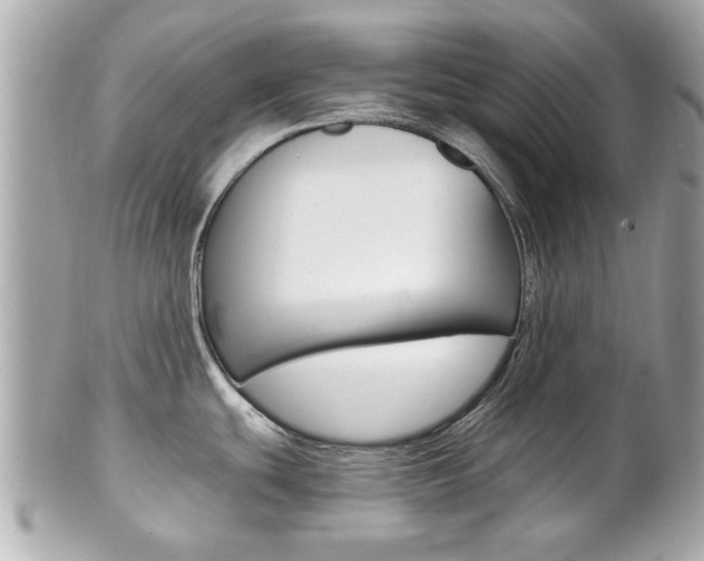 X0000102021439200807180933