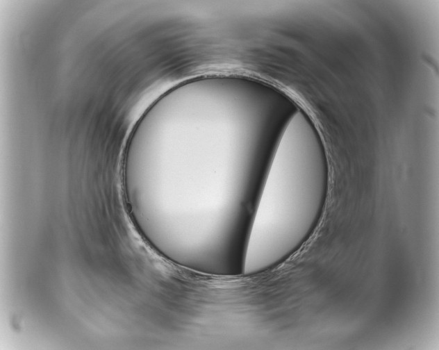 X0000102021440200807180933