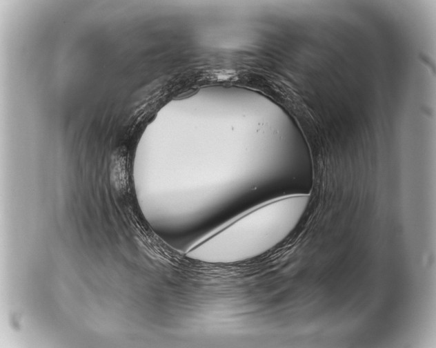 X0000102021442200807180932