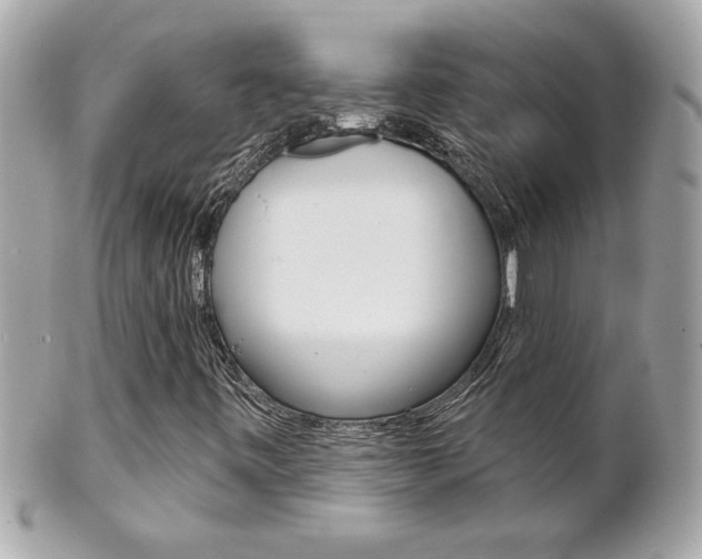 X0000102021443200807180932