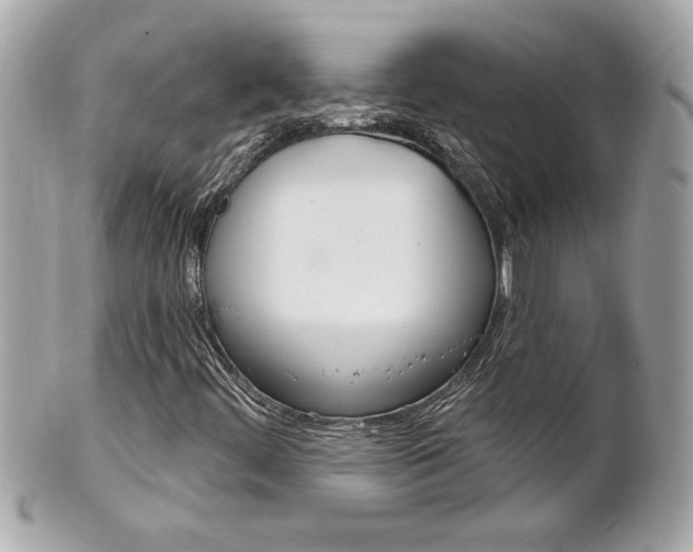 X0000102021444200807180932