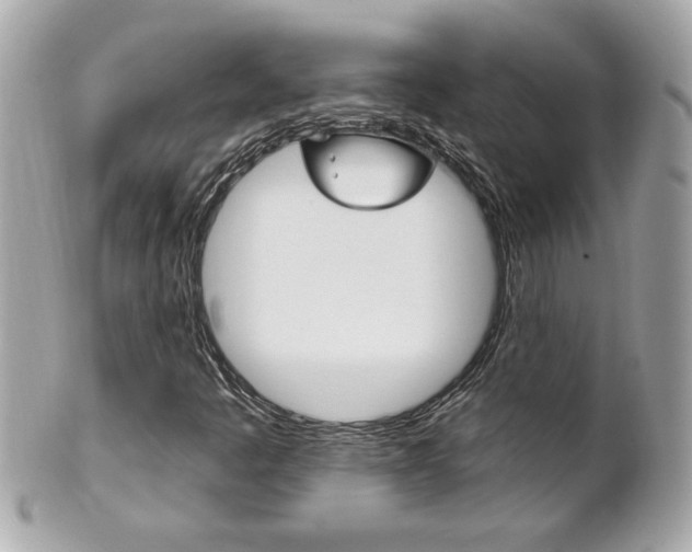 X0000102021445200807180932