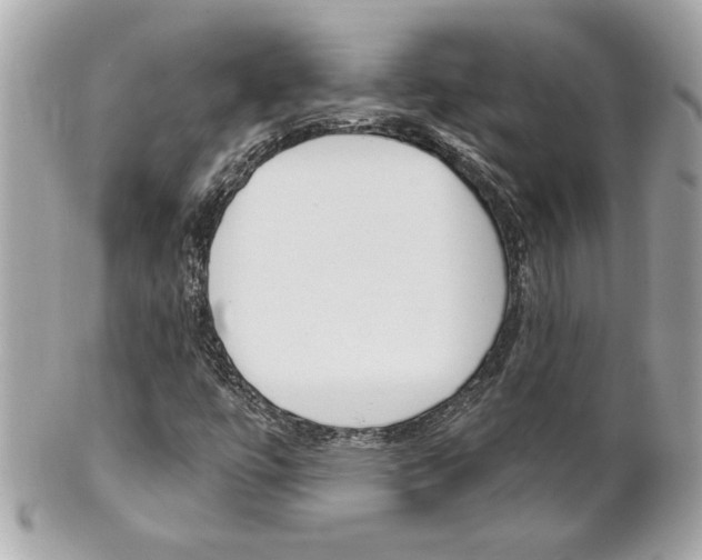 X0000102021447200807180932