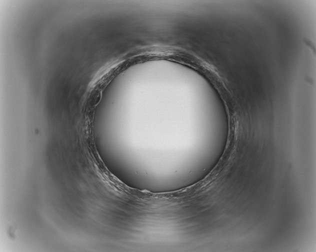 X0000102021448200807180932