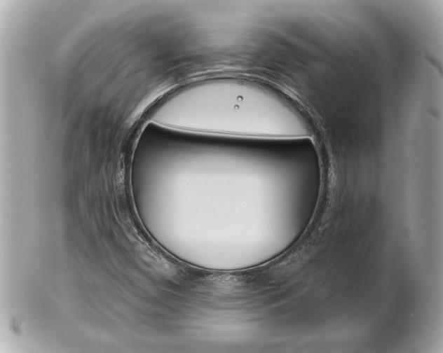 X0000102021450200807180932