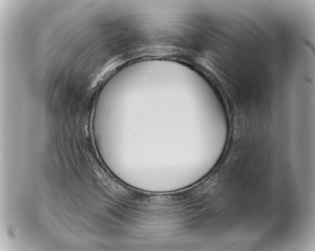 X0000102021451200807180932