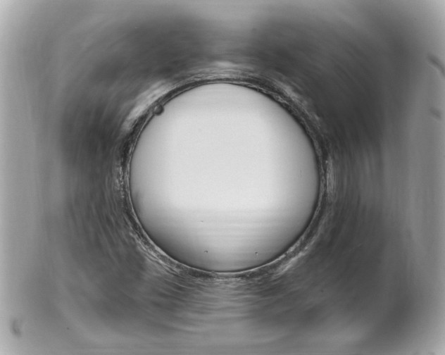 X0000102021453200807180932
