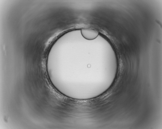 X0000102021454200807180932