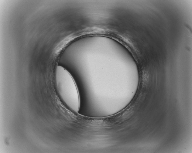 X0000102021455200807180932