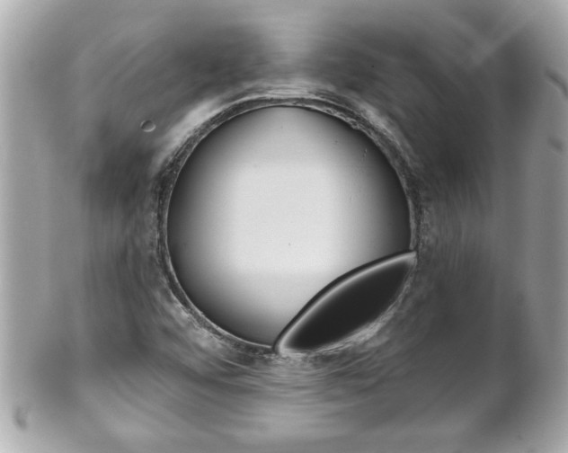 X0000102021456200807180932