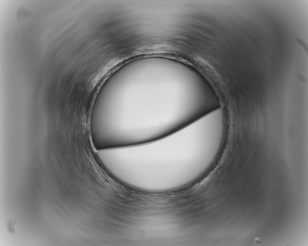 X0000102021457200807180932